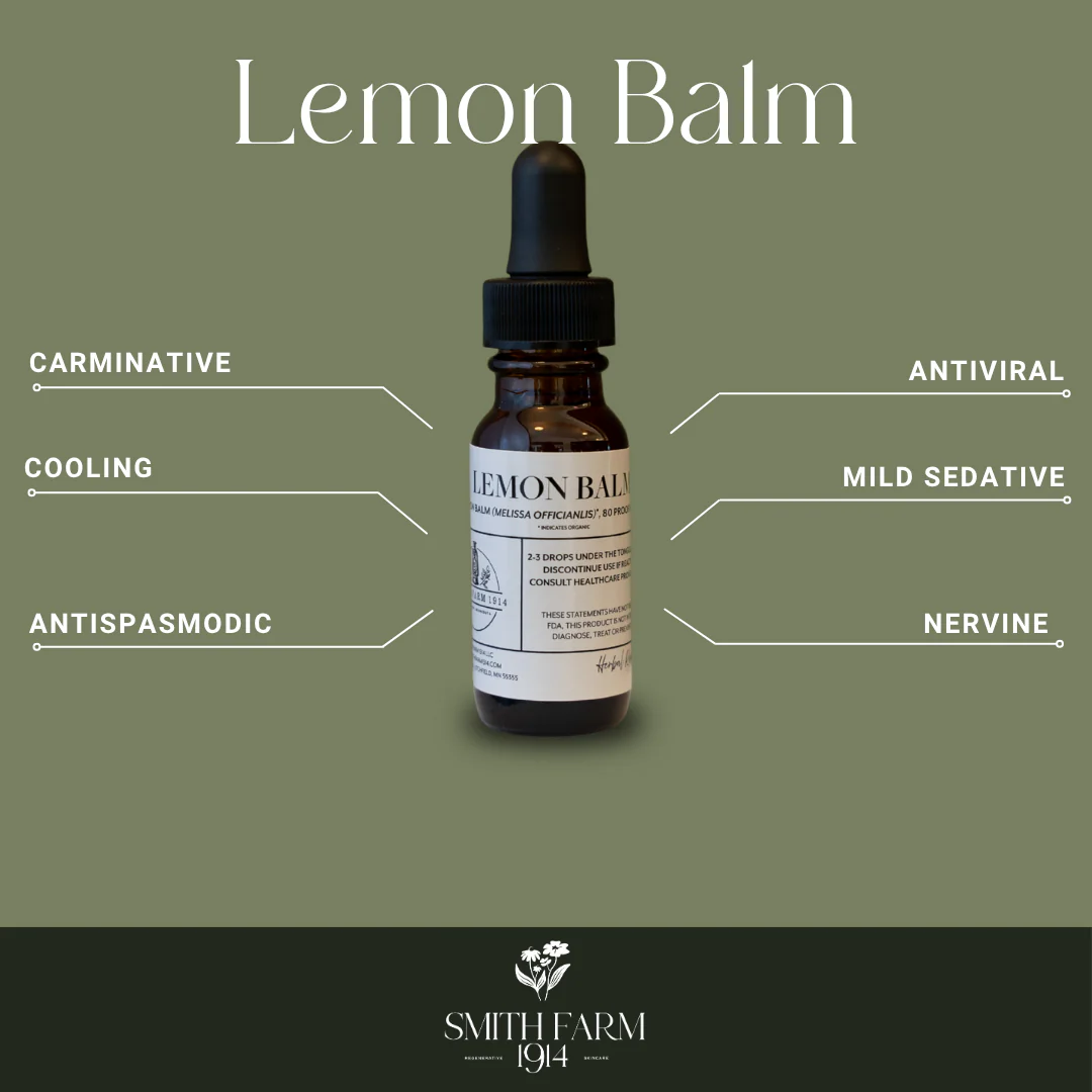 Lemon Balm - Image 2